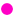 選抜クラス